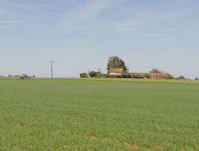 Agrandir l’image