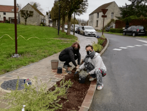 Agrandir l’image