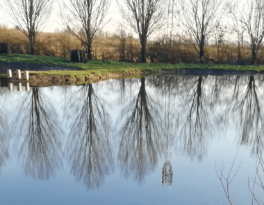 Hero plan d'eau reflets arbres