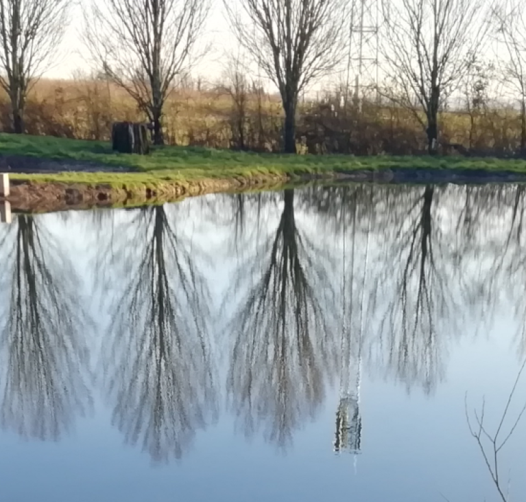 Hero plan d'eau reflets arbres